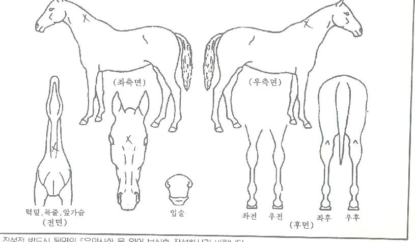 ���̺�Ƴ��� ����,���,�޸�,�λ�,�ٸ��� Ư¡����