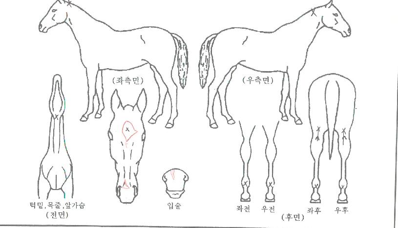 Ŭ����Ʈ�� ����,���,�޸�,�λ�,�ٸ��� Ư¡����