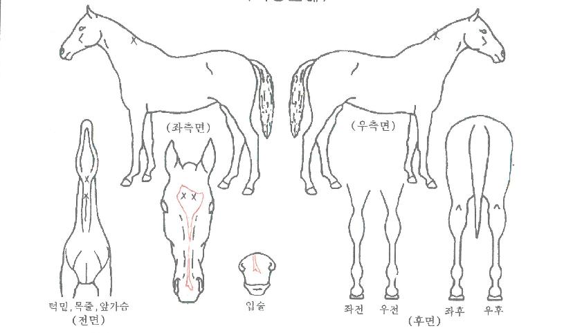 ��������� ����,���,�޸�,�λ�,�ٸ��� Ư¡����