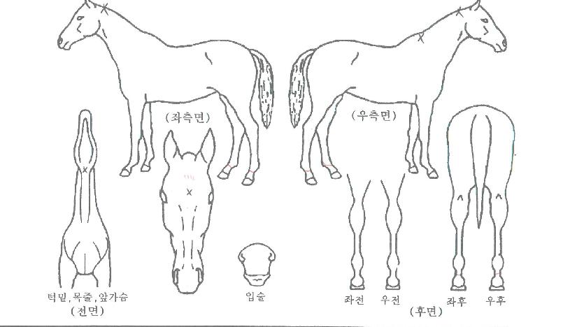 ���������� ����,���,�޸�,�λ�,�ٸ��� Ư¡����