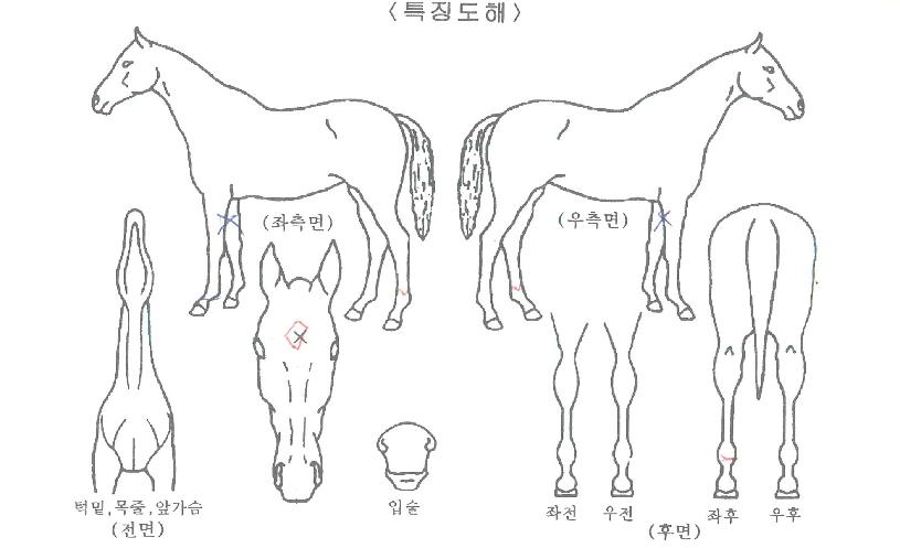 �������� ����,���,�޸�,�λ�,�ٸ��� Ư¡����