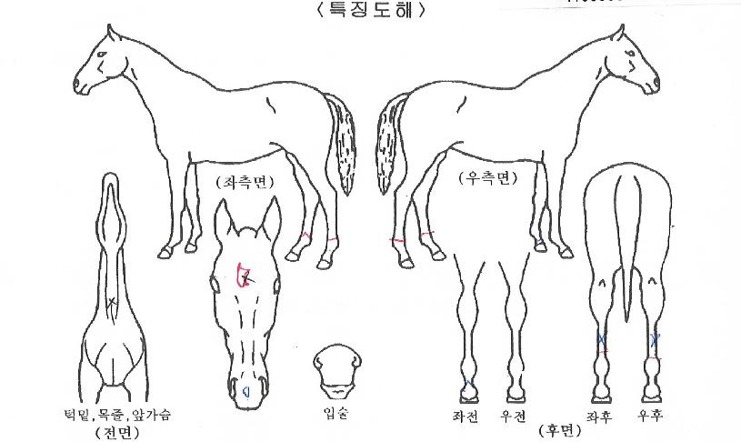 ½º¸¶Æ®ÇÏÀÌÀÇ Ãø¸é,¿ì¸é,µÞ¸é,µÎ»ó,´Ù¸®ÀÇ Æ¯Â¡µµÇØ