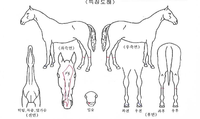 �̽�ķ���� ����,���,�޸�,�λ�,�ٸ��� Ư¡����