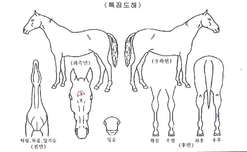 �帲��ũ�� ����,���,�޸�,�λ�,�ٸ��� Ư¡����