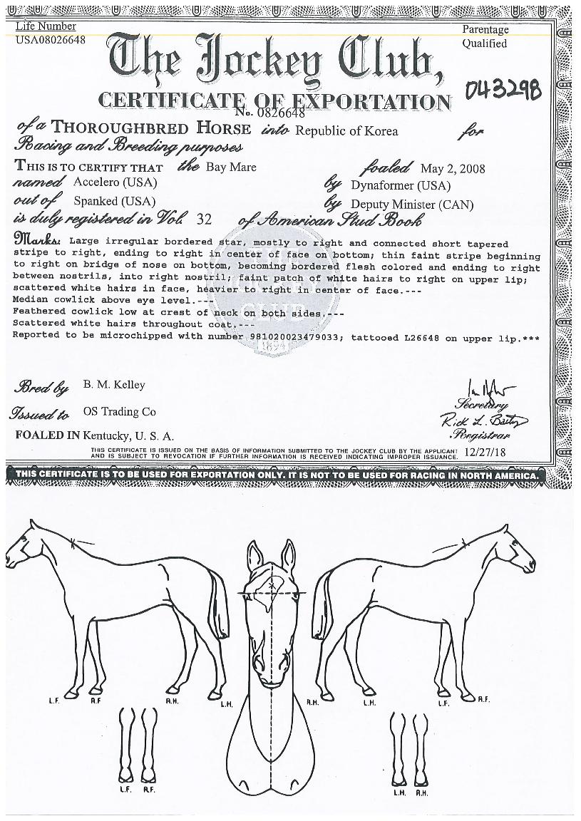 ¾ÆÄÌ·¹¿ÀÀÇ Ãø¸é,¿ì¸é,µÞ¸é,µÎ»ó,´Ù¸®ÀÇ Æ¯Â¡µµÇØ