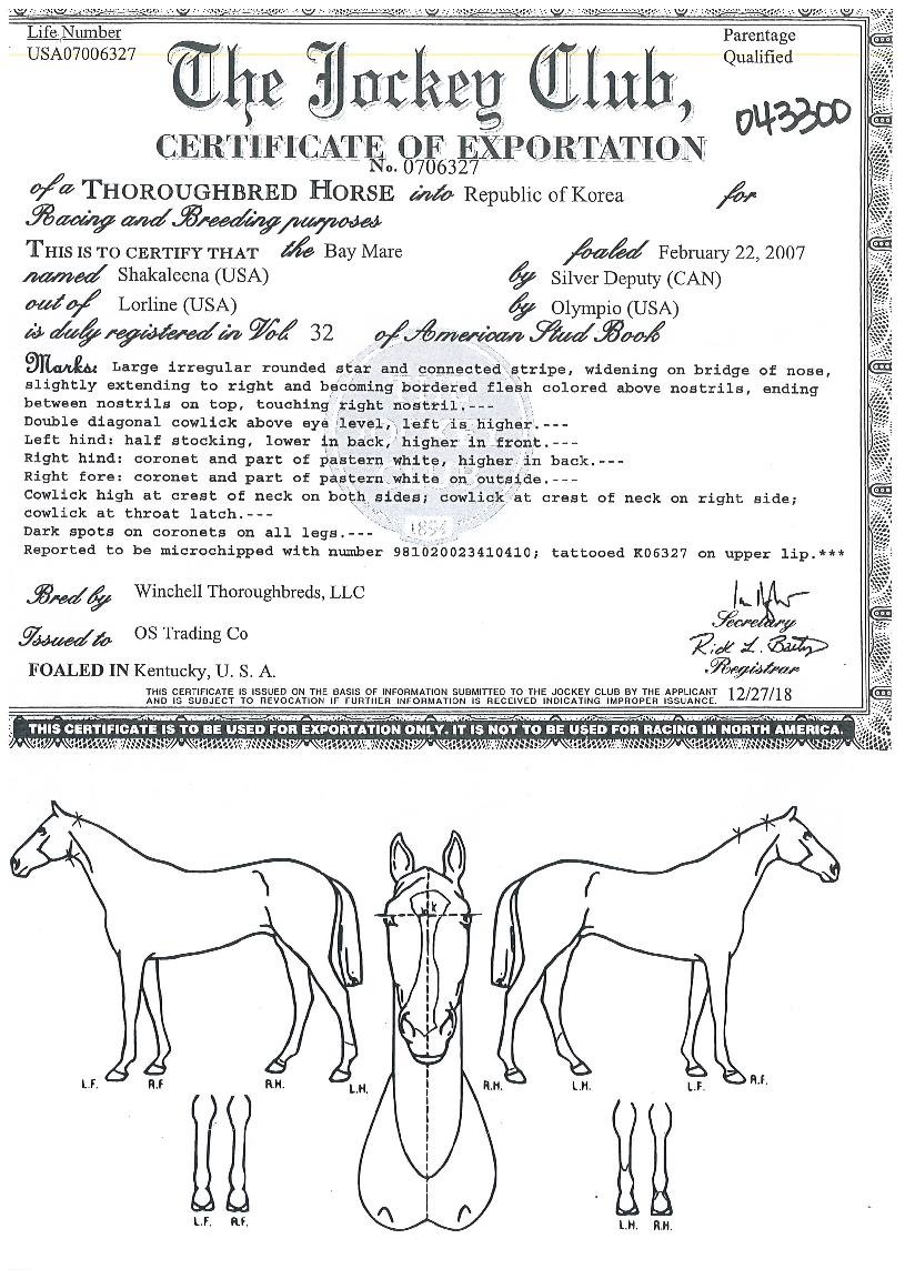 »çÄ®¸®³ªÀÇ Ãø¸é,¿ì¸é,µÞ¸é,µÎ»ó,´Ù¸®ÀÇ Æ¯Â¡µµÇØ