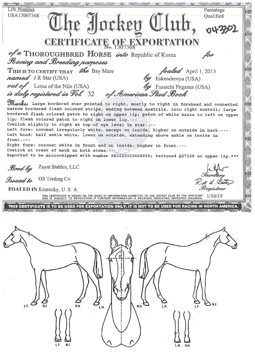 Á¦À̾˽ºÅ¸ÀÇ Ãø¸é,¿ì¸é,µÞ¸é,µÎ»ó,´Ù¸®ÀÇ Æ¯Â¡µµÇØ