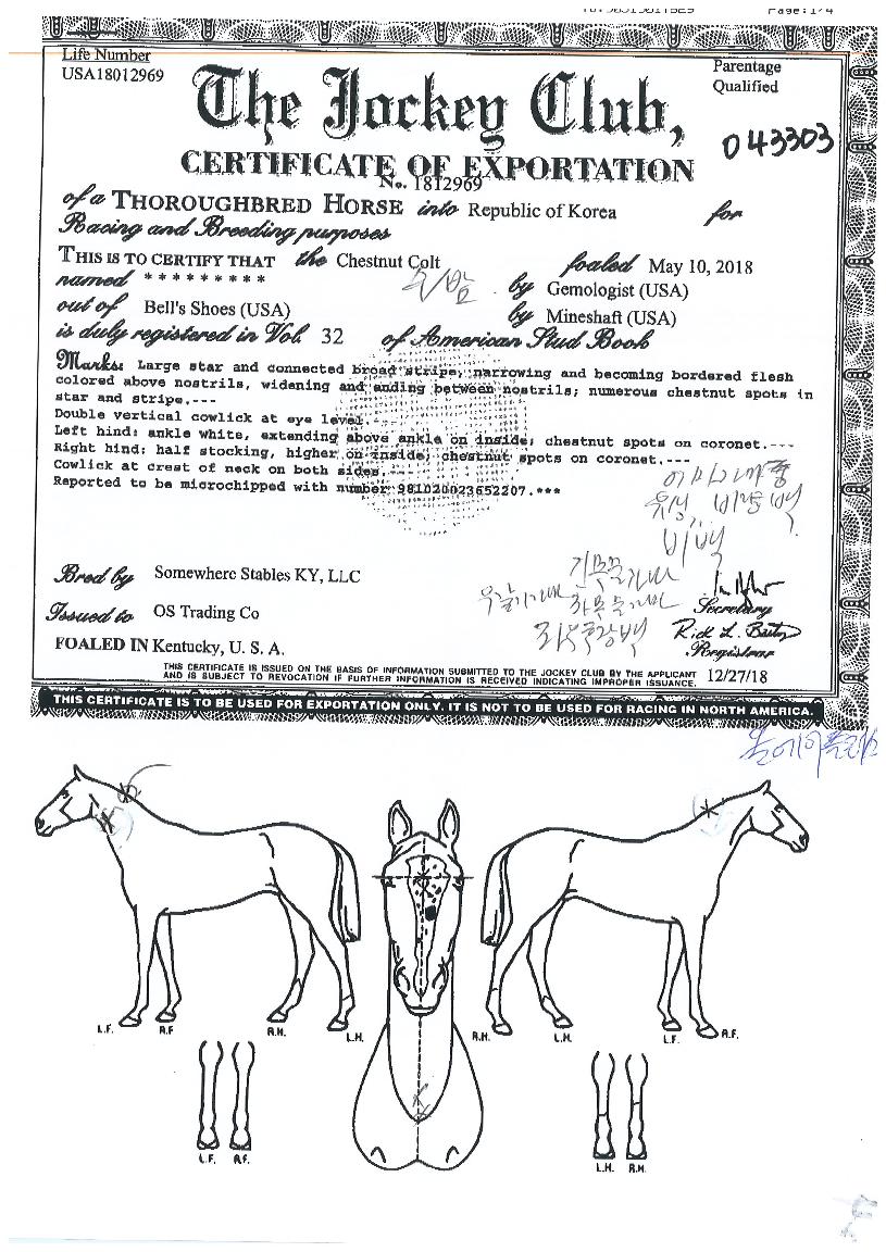 ¿Ã¿¡ÀÌÇ÷¯½ºÀÇ Ãø¸é,¿ì¸é,µÞ¸é,µÎ»ó,´Ù¸®ÀÇ Æ¯Â¡µµÇØ