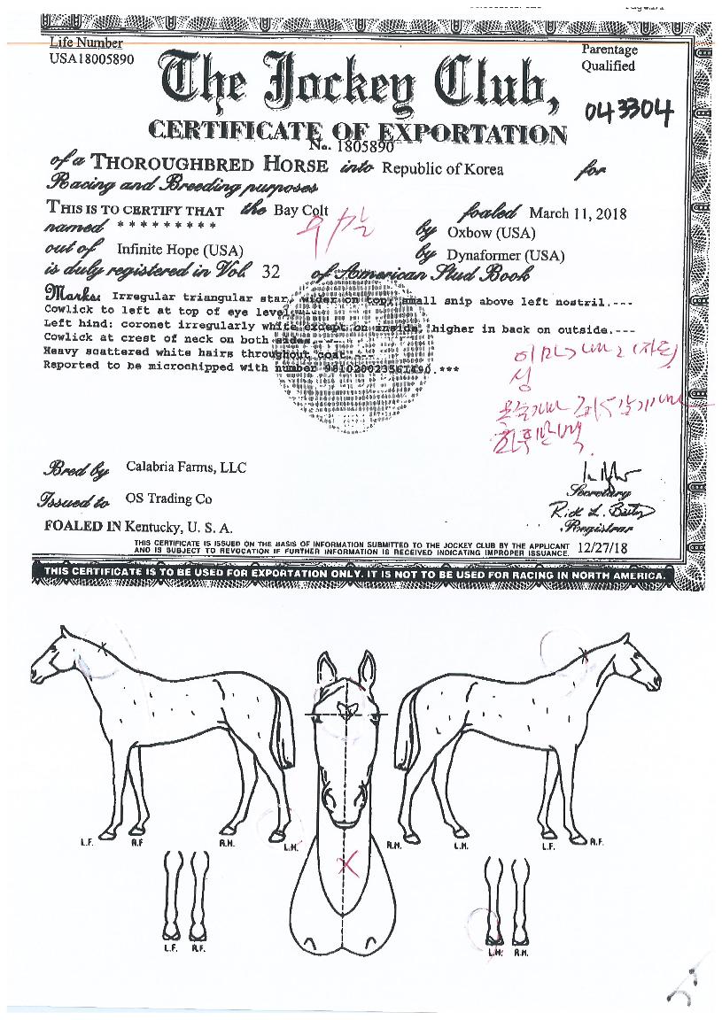 �������� ����,���,�޸�,�λ�,�ٸ��� Ư¡����