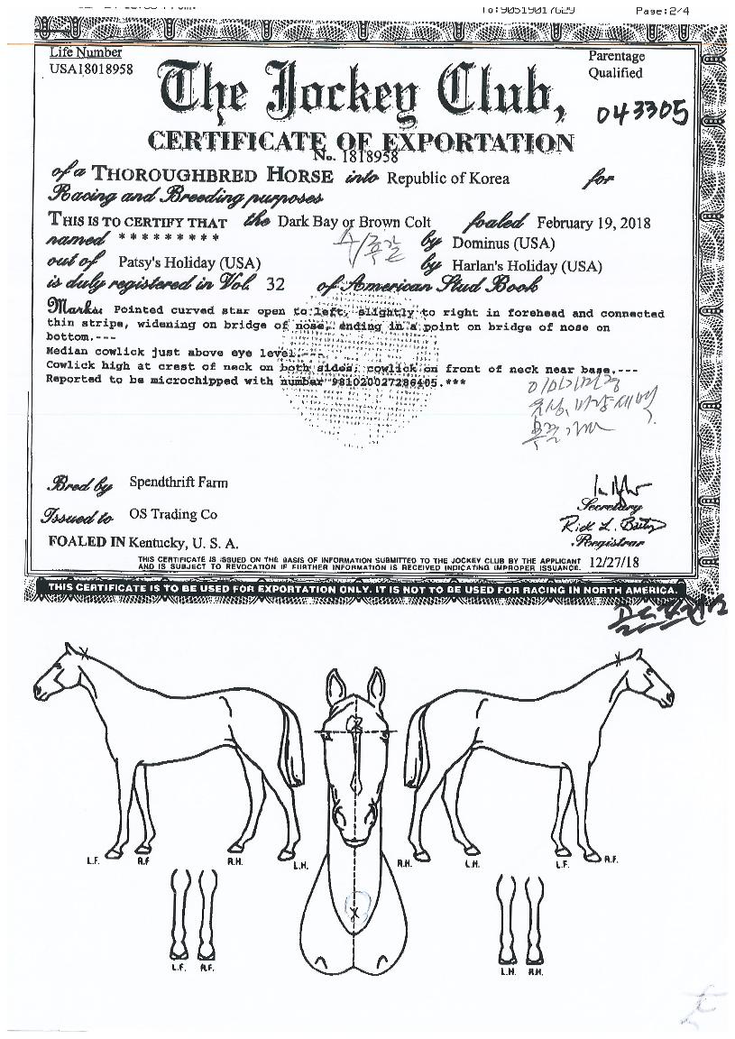 ����������� ����,���,�޸�,�λ�,�ٸ��� Ư¡����