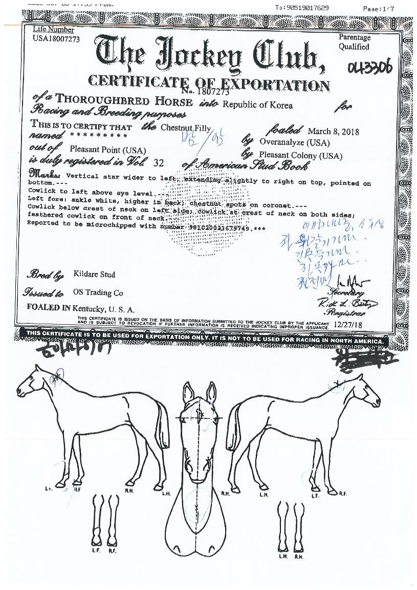 �ݾƸ��̾��� ����,���,�޸�,�λ�,�ٸ��� Ư¡����