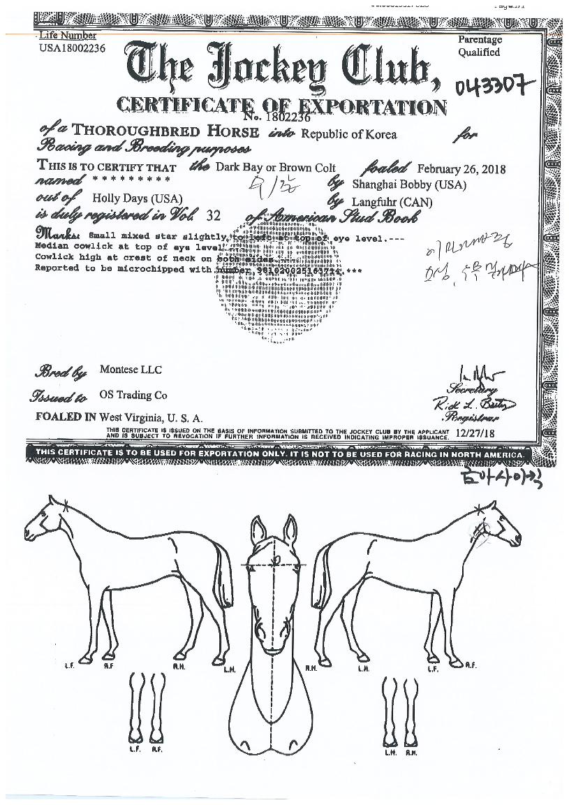 �ݾƻ���ű�� ����,���,�޸�,�λ�,�ٸ��� Ư¡����