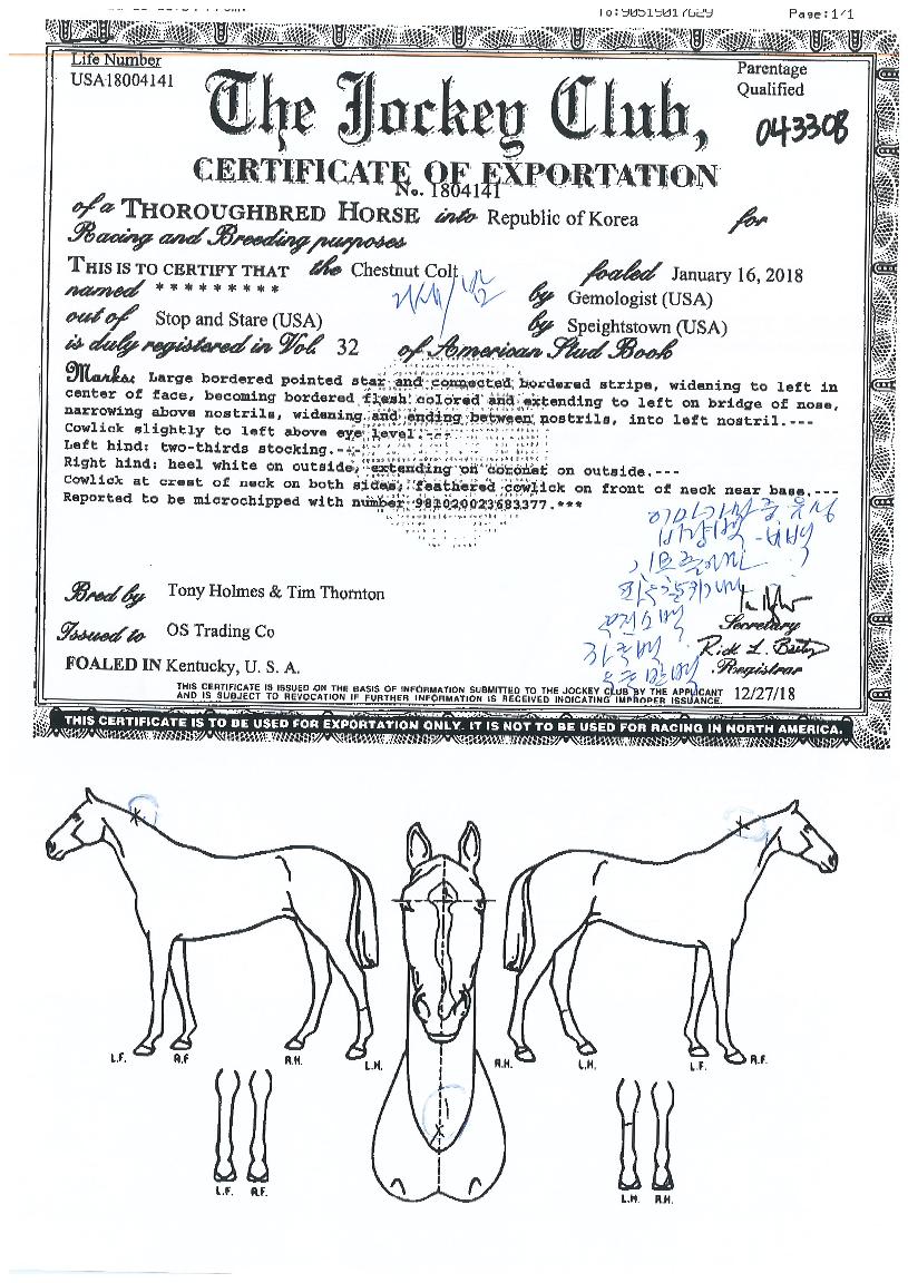 ±ÂÆÄ¿öÀÇ Ãø¸é,¿ì¸é,µÞ¸é,µÎ»ó,´Ù¸®ÀÇ Æ¯Â¡µµÇØ