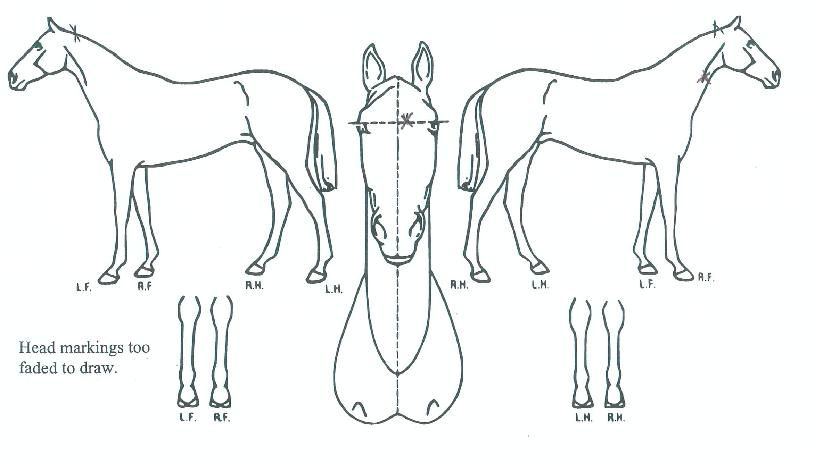 �ڹ�Ʈ���̽����� ����,���,�޸�,�λ�,�ٸ��� Ư¡����