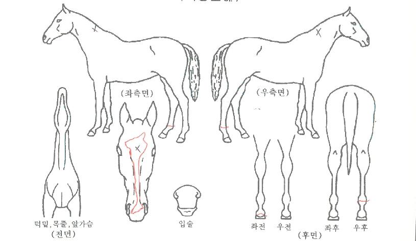 �ƶ�ũ������ ����,���,�޸�,�λ�,�ٸ��� Ư¡����