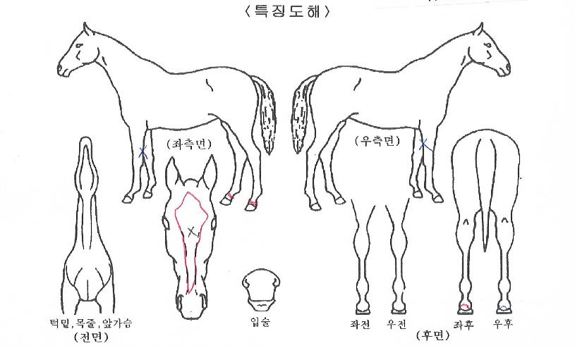 ��ź������ ����,���,�޸�,�λ�,�ٸ��� Ư¡����