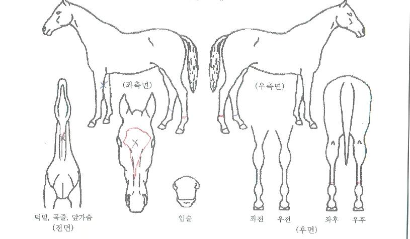 ��ũ���� ����,���,�޸�,�λ�,�ٸ��� Ư¡����