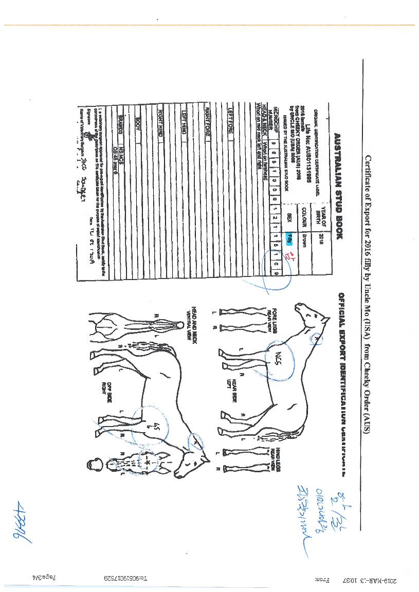 ������� ����,���,�޸�,�λ�,�ٸ��� Ư¡����