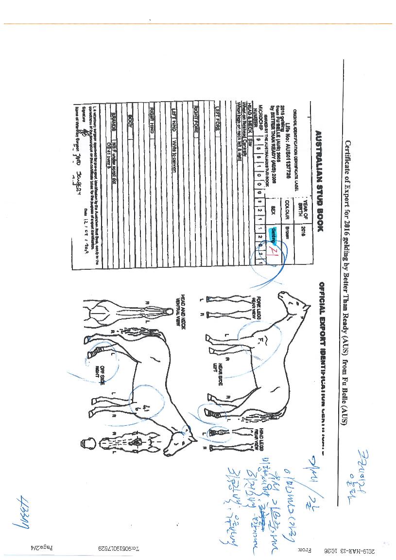 Å©·¹ÀÌÁö¾ËÆÄÀÇ Ãø¸é,¿ì¸é,µÞ¸é,µÎ»ó,´Ù¸®ÀÇ Æ¯Â¡µµÇØ