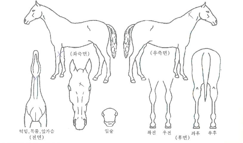 Ƽ���̺����� ����,���,�޸�,�λ�,�ٸ��� Ư¡����