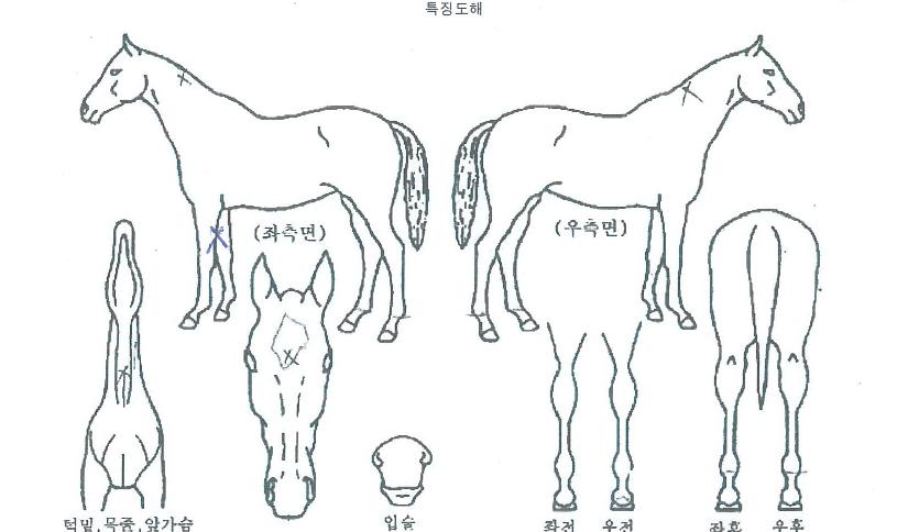 �̸�ĸƾ�� ����,���,�޸�,�λ�,�ٸ��� Ư¡����