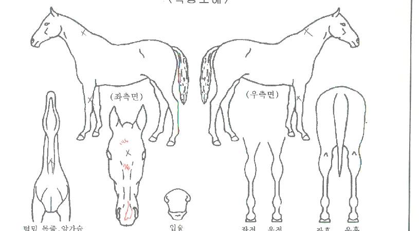 ���������� ����,���,�޸�,�λ�,�ٸ��� Ư¡����