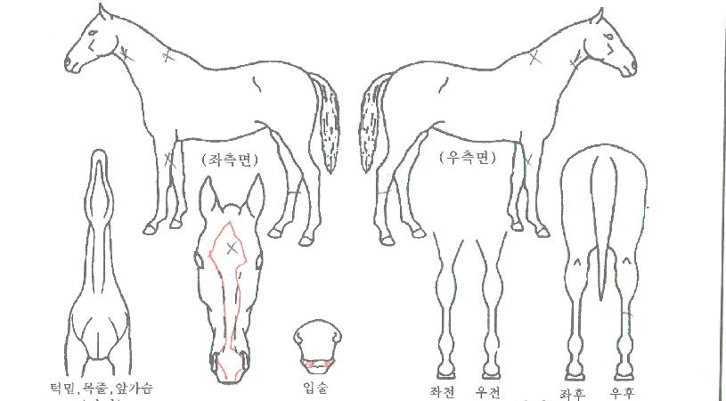 ��ȣ���� ����,���,�޸�,�λ�,�ٸ��� Ư¡����