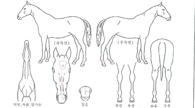 ����ü������ ����,���,�޸�,�λ�,�ٸ��� Ư¡����