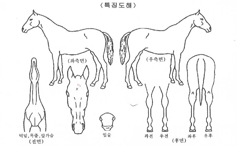 ���������� ����,���,�޸�,�λ�,�ٸ��� Ư¡����