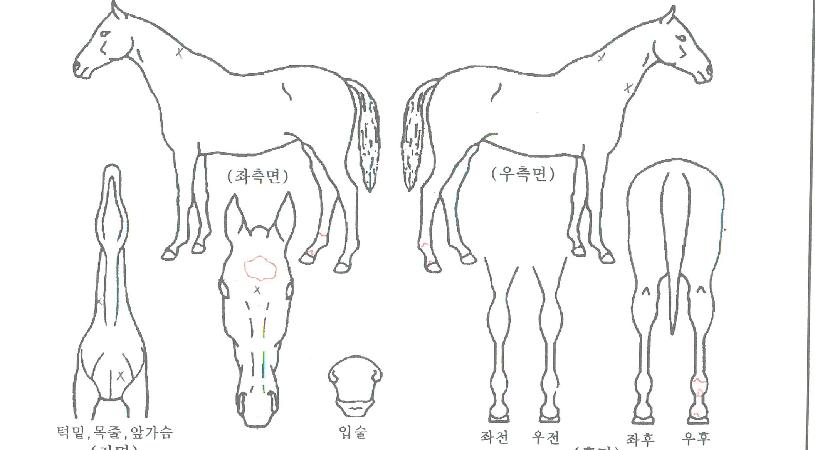 Ʈ���̹������� ����,���,�޸�,�λ�,�ٸ��� Ư¡����