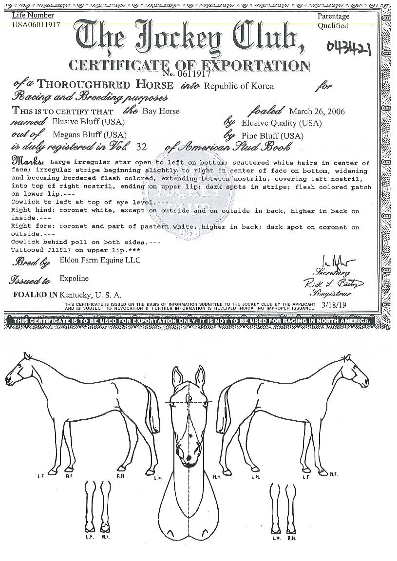 ÀÏ·ç½Ãºêºí·¯ÇÁÀÇ Ãø¸é,¿ì¸é,µÞ¸é,µÎ»ó,´Ù¸®ÀÇ Æ¯Â¡µµÇØ