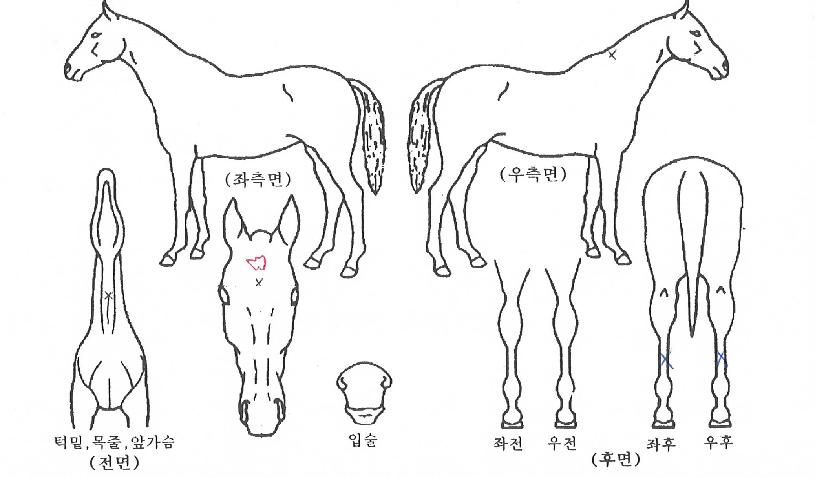 ���������� ����,���,�޸�,�λ�,�ٸ��� Ư¡����