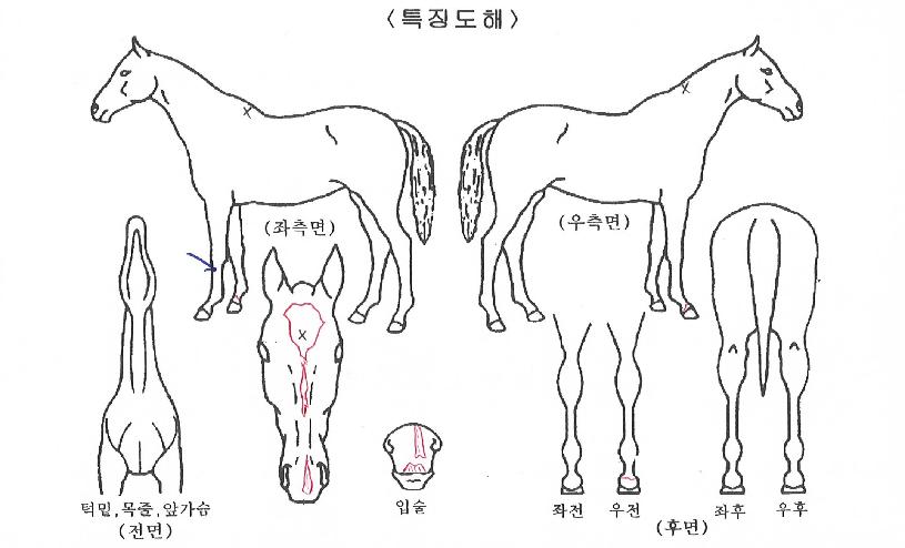 �������� ����,���,�޸�,�λ�,�ٸ��� Ư¡����