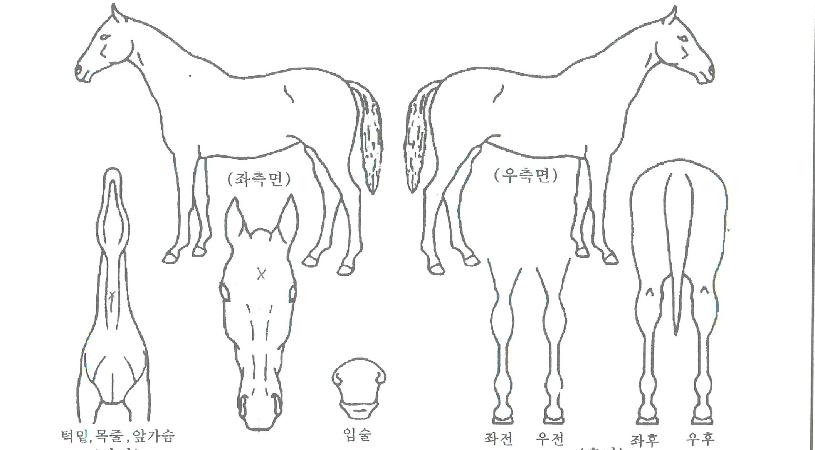 Á¦ÀÌÀ̱ÛÀÇ Ãø¸é,¿ì¸é,µÞ¸é,µÎ»ó,´Ù¸®ÀÇ Æ¯Â¡µµÇØ
