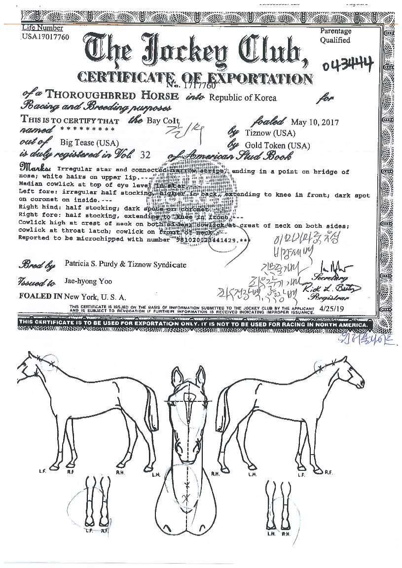 À§³Ê½º·ÎµåÀÇ Ãø¸é,¿ì¸é,µÞ¸é,µÎ»ó,´Ù¸®ÀÇ Æ¯Â¡µµÇØ