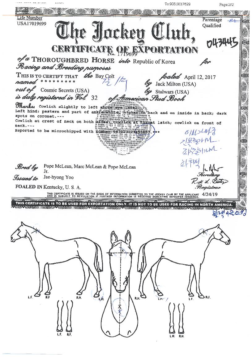 ºí·¢À̱ÛÀ®ÀÇ Ãø¸é,¿ì¸é,µÞ¸é,µÎ»ó,´Ù¸®ÀÇ Æ¯Â¡µµÇØ