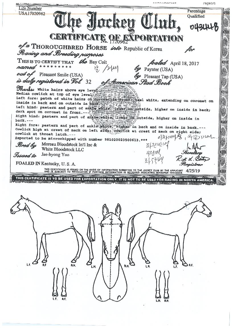 ��ٸ��������� ����,���,�޸�,�λ�,�ٸ��� Ư¡����