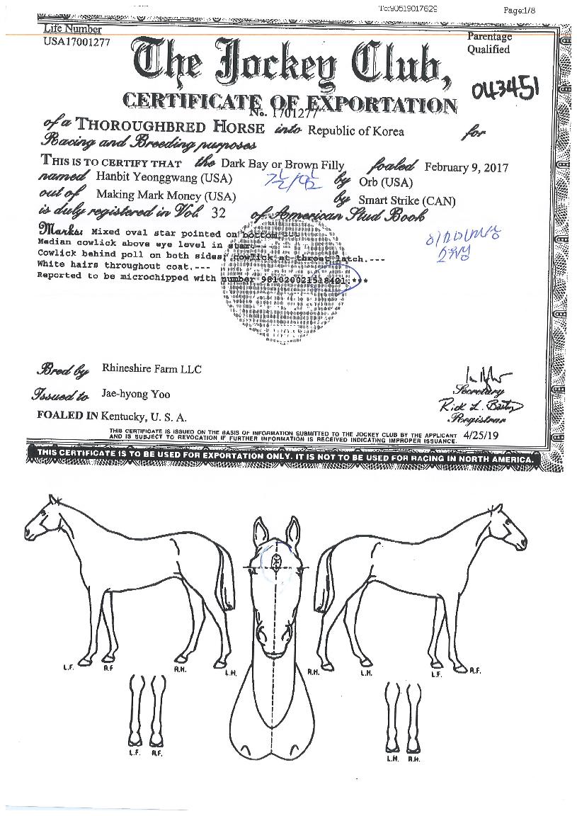 �Ѻ������� ����,���,�޸�,�λ�,�ٸ��� Ư¡����