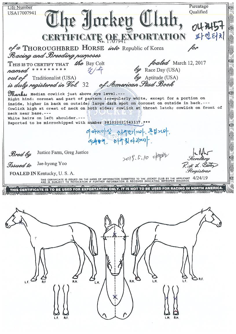 ������ġ�� ����,���,�޸�,�λ�,�ٸ��� Ư¡����