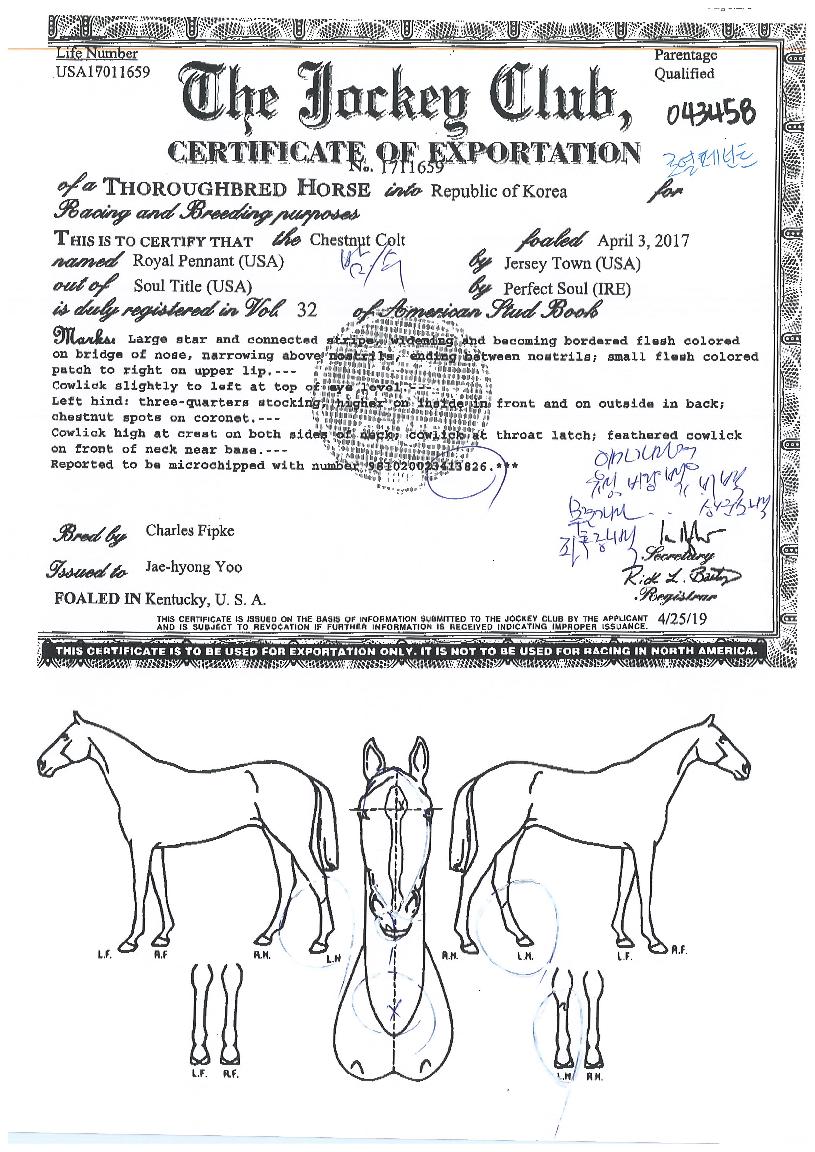 �ο����Ʈ�� ����,���,�޸�,�λ�,�ٸ��� Ư¡����