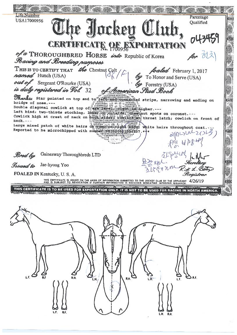 ��ġ�� ����,���,�޸�,�λ�,�ٸ��� Ư¡����