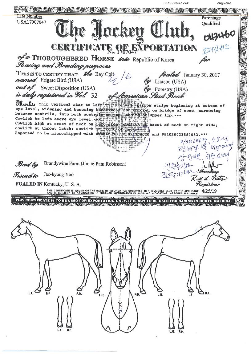 ����������� ����,���,�޸�,�λ�,�ٸ��� Ư¡����