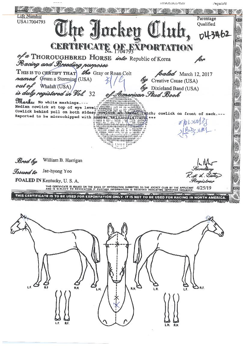 ±Ý¾Æ½ºÅä¹ÖÀÇ Ãø¸é,¿ì¸é,µÞ¸é,µÎ»ó,´Ù¸®ÀÇ Æ¯Â¡µµÇØ