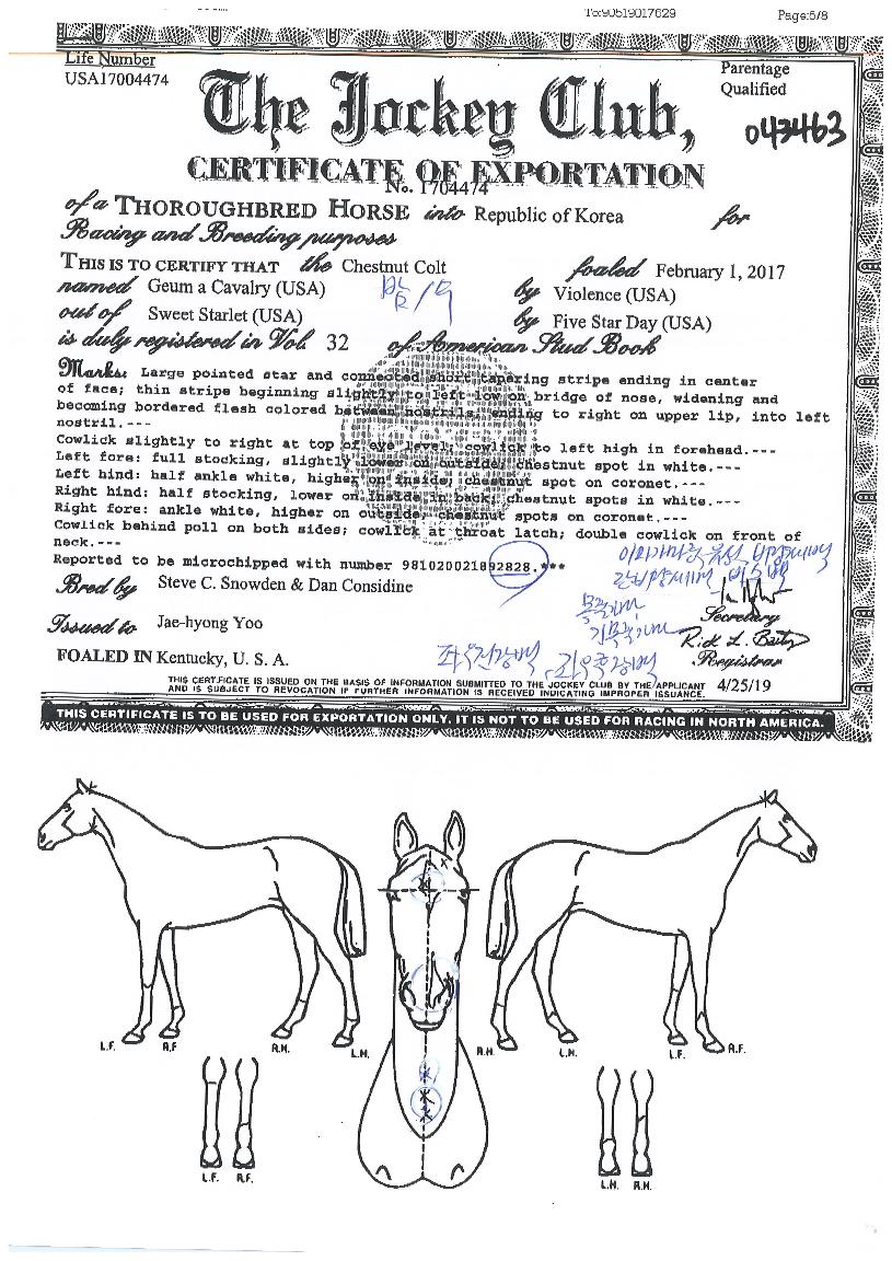 �ݾ�ĳ������ ����,���,�޸�,�λ�,�ٸ��� Ư¡����