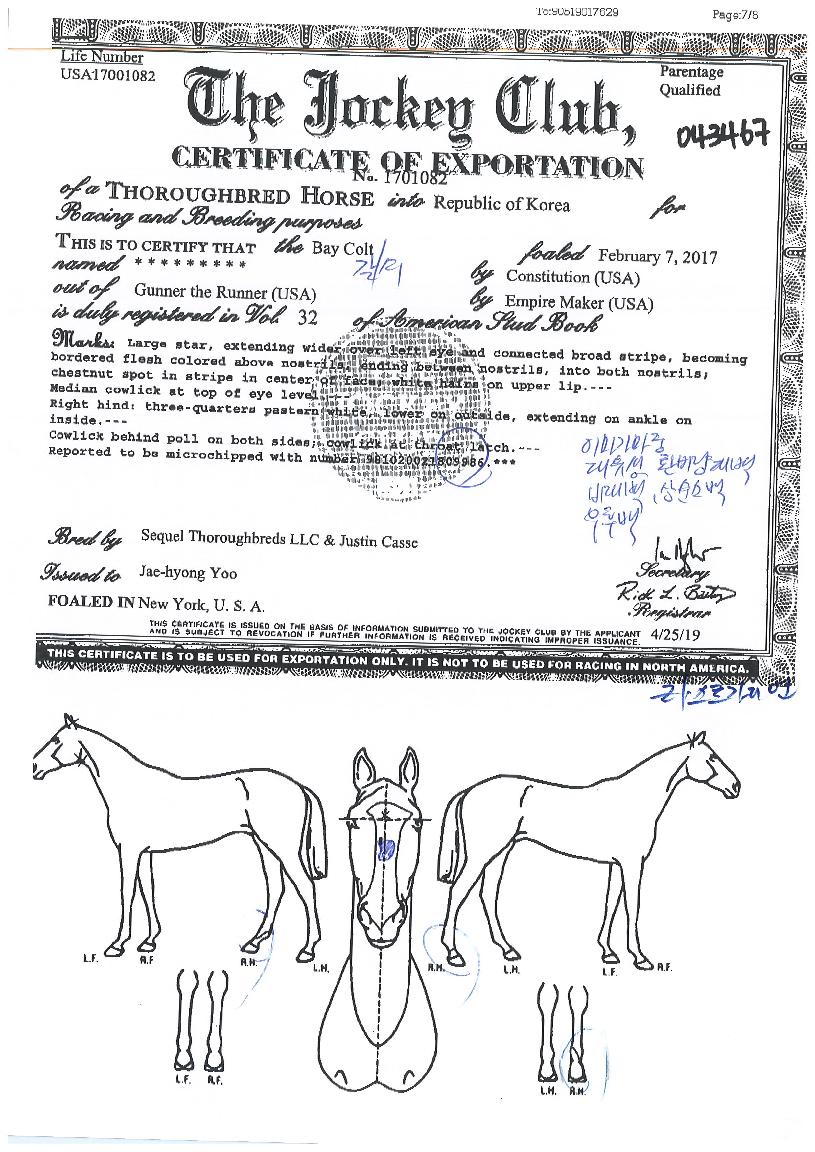 ¶ó½ºÆ®°¡µð¾ðÀÇ Ãø¸é,¿ì¸é,µÞ¸é,µÎ»ó,´Ù¸®ÀÇ Æ¯Â¡µµÇØ