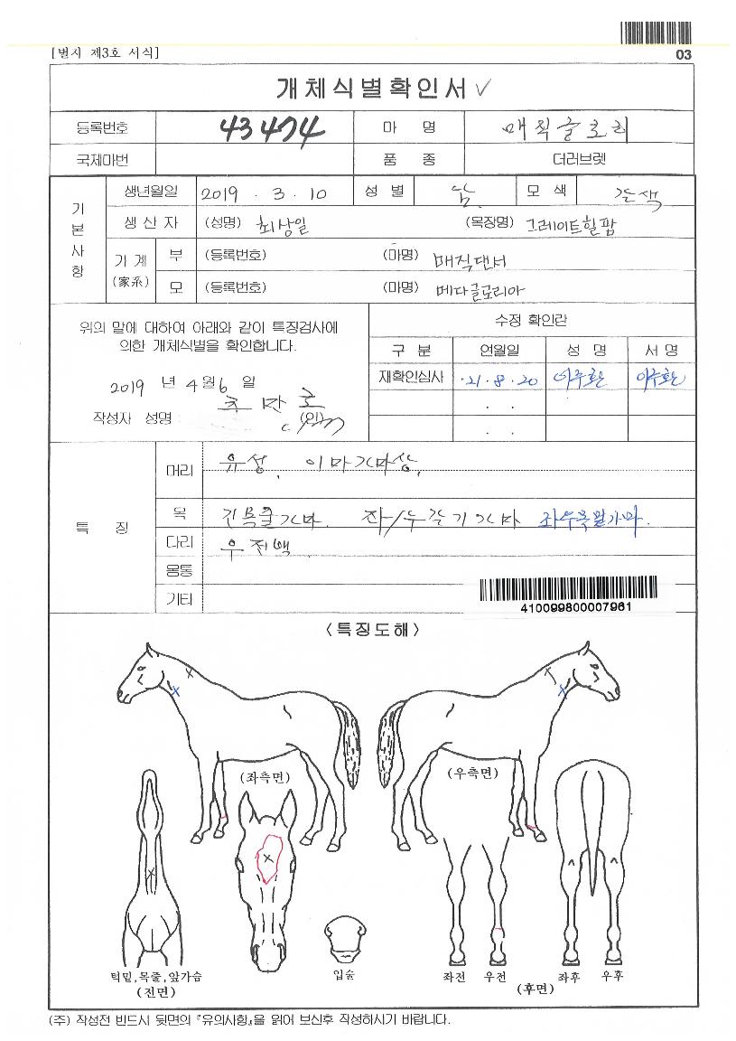 ¸ÅÁ÷±Û·Î¸®ÀÇ Ãø¸é,¿ì¸é,µÞ¸é,µÎ»ó,´Ù¸®ÀÇ Æ¯Â¡µµÇØ