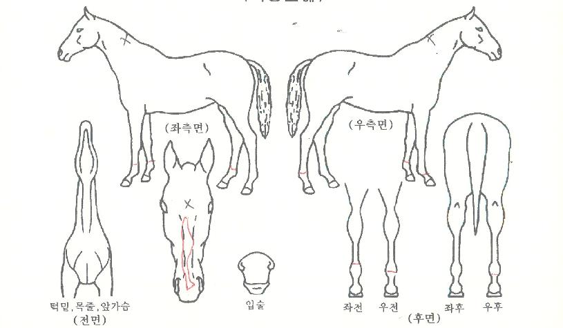 ���������� ����,���,�޸�,�λ�,�ٸ��� Ư¡����