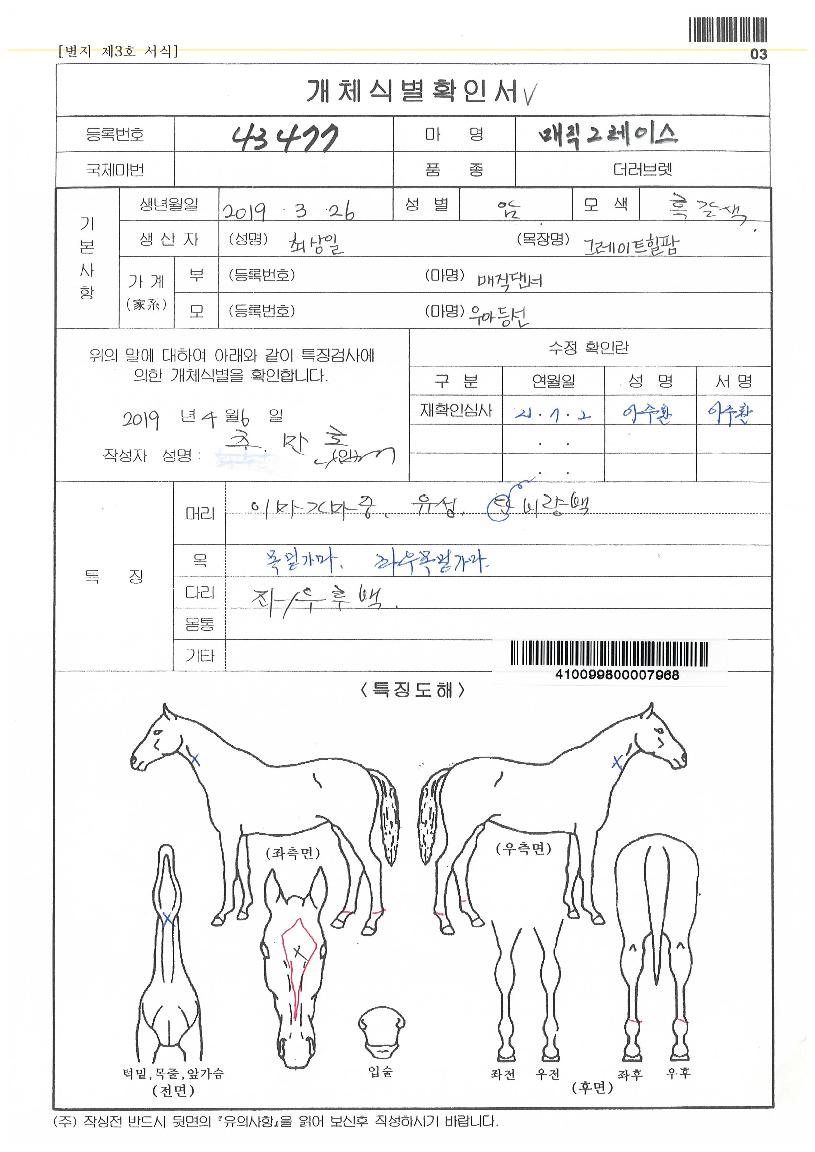 ¸ÅÁ÷±×·¹À̽ºÀÇ Ãø¸é,¿ì¸é,µÞ¸é,µÎ»ó,´Ù¸®ÀÇ Æ¯Â¡µµÇØ