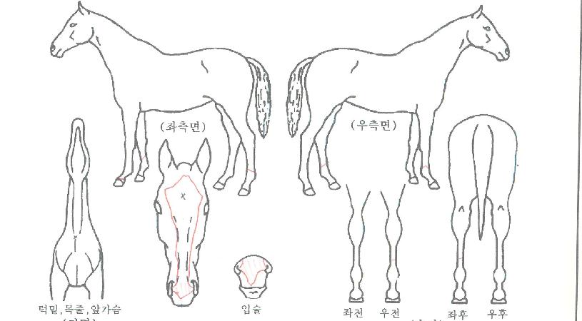 ������Ÿ�� ����,���,�޸�,�λ�,�ٸ��� Ư¡����