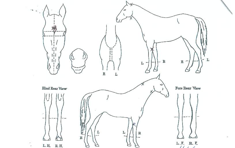 ��ũ������ ����,���,�޸�,�λ�,�ٸ��� Ư¡����